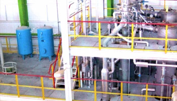 sulfonation & detergent machine